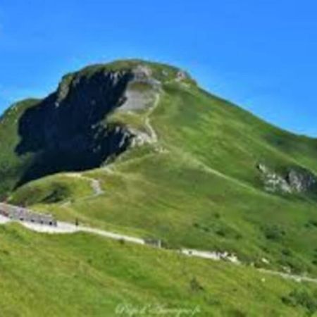 Joli Appartement A Murat Proche Du Lioran Cantal Exterior foto